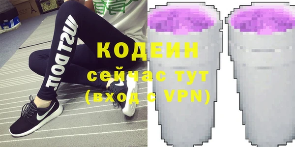 шишки Белоозёрский