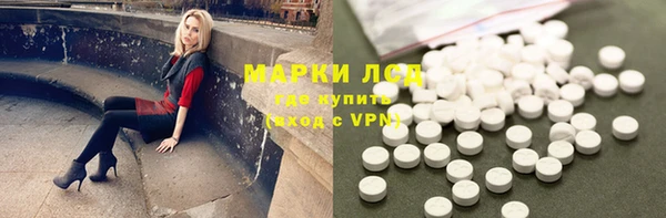 шишки Белоозёрский