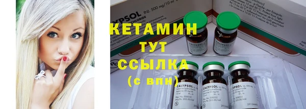 шишки Белоозёрский