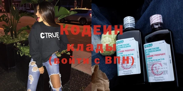 шишки Белоозёрский