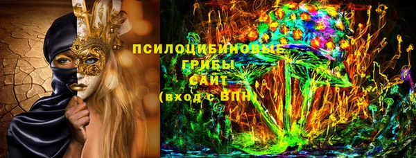 шишки Белоозёрский